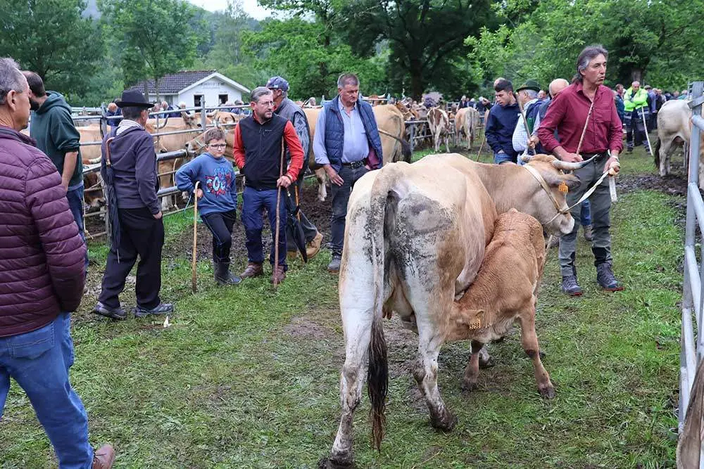 feriona-corao-2024-19