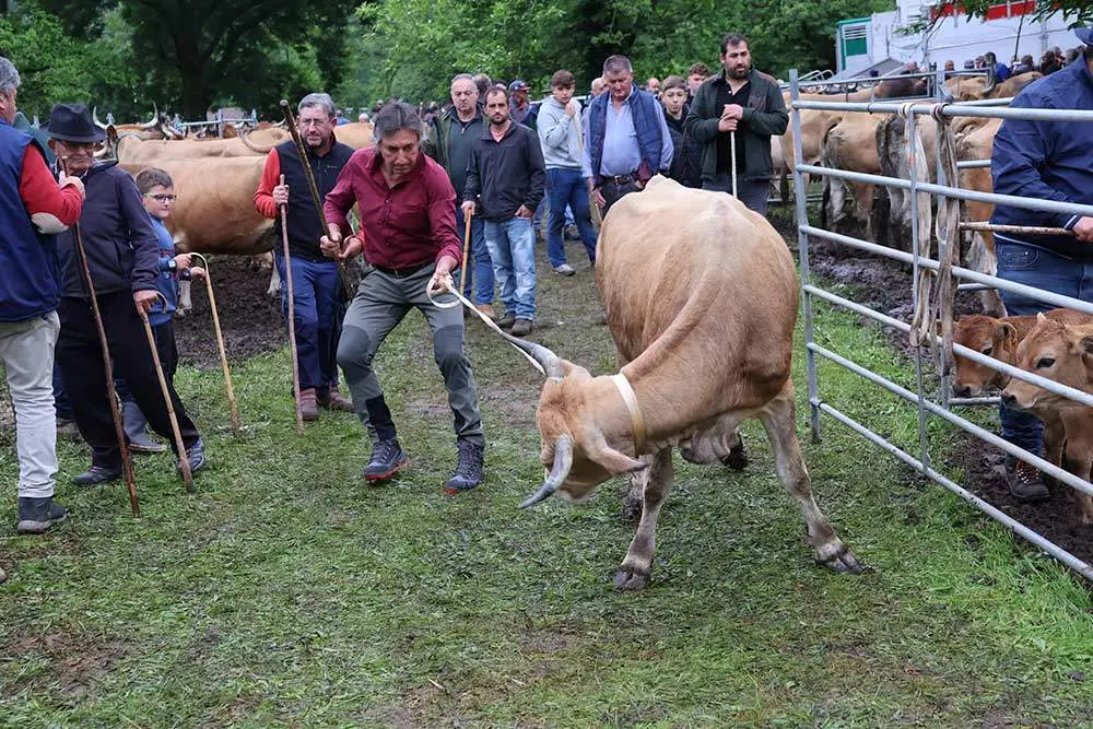 feriona-corao-2024-22