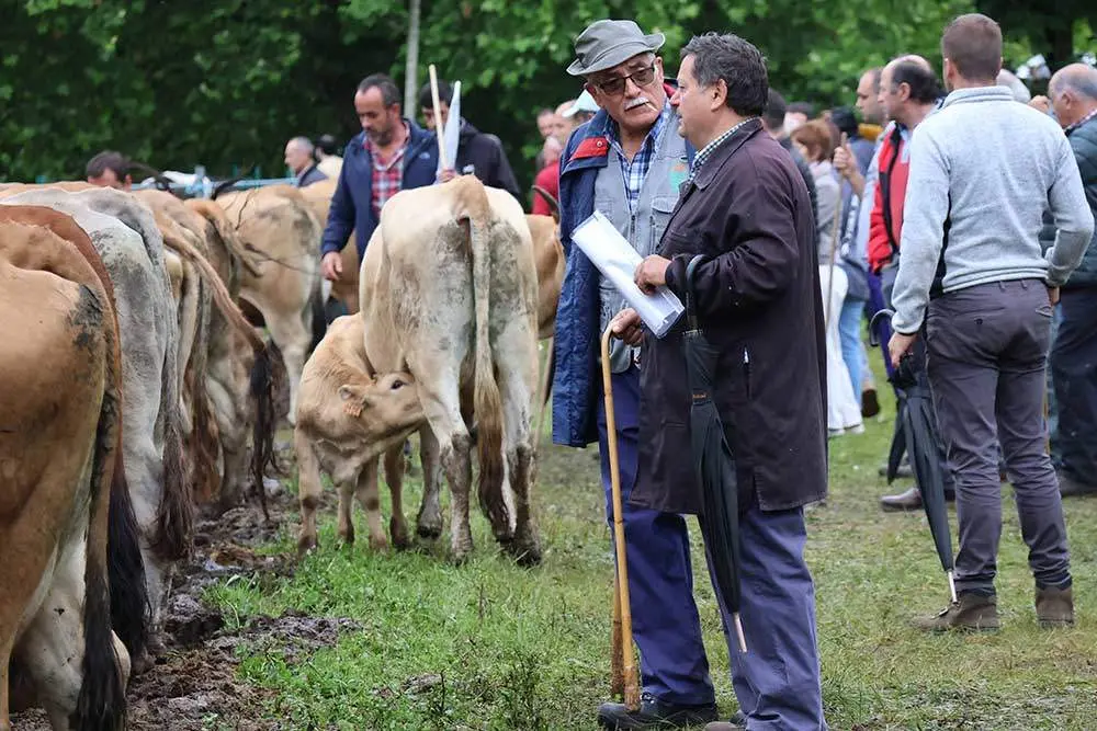 feriona-corao-2024-26