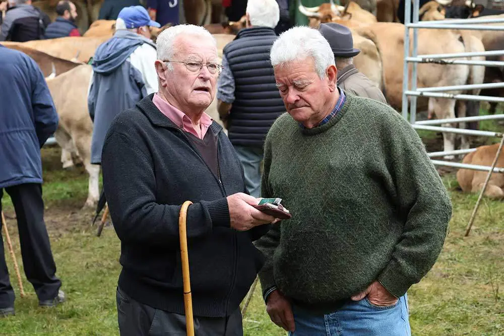 feriona-corao-2024-28