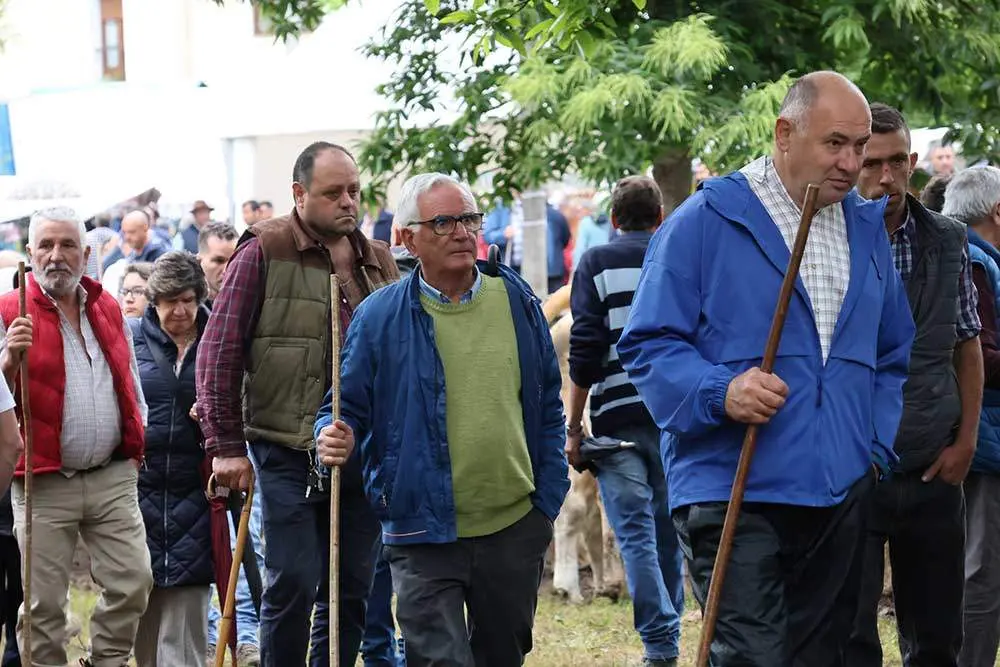 feriona-corao-2024-32