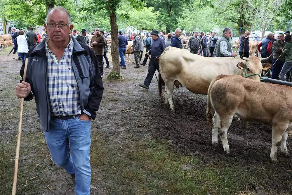 feriona-corao-2024-34