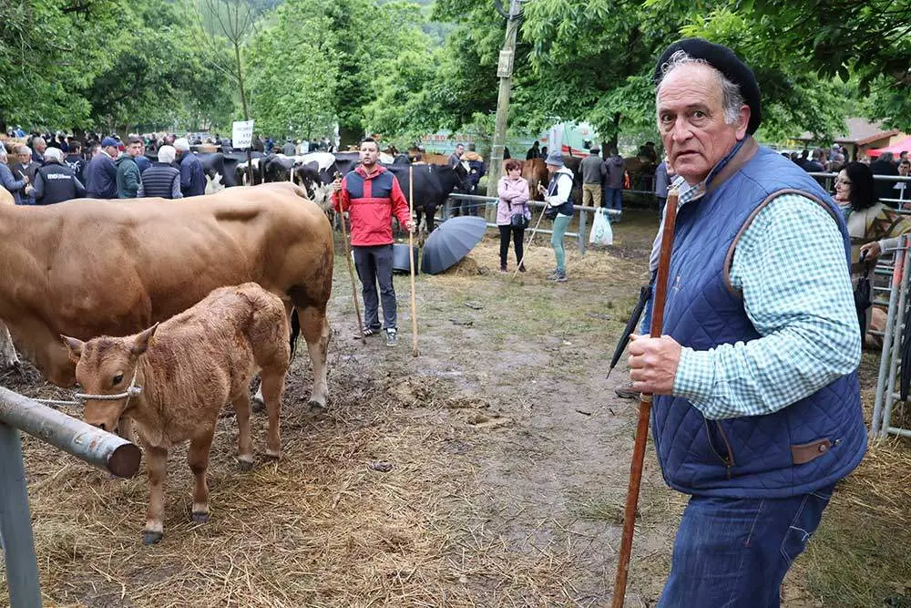 feriona-corao-2024-35