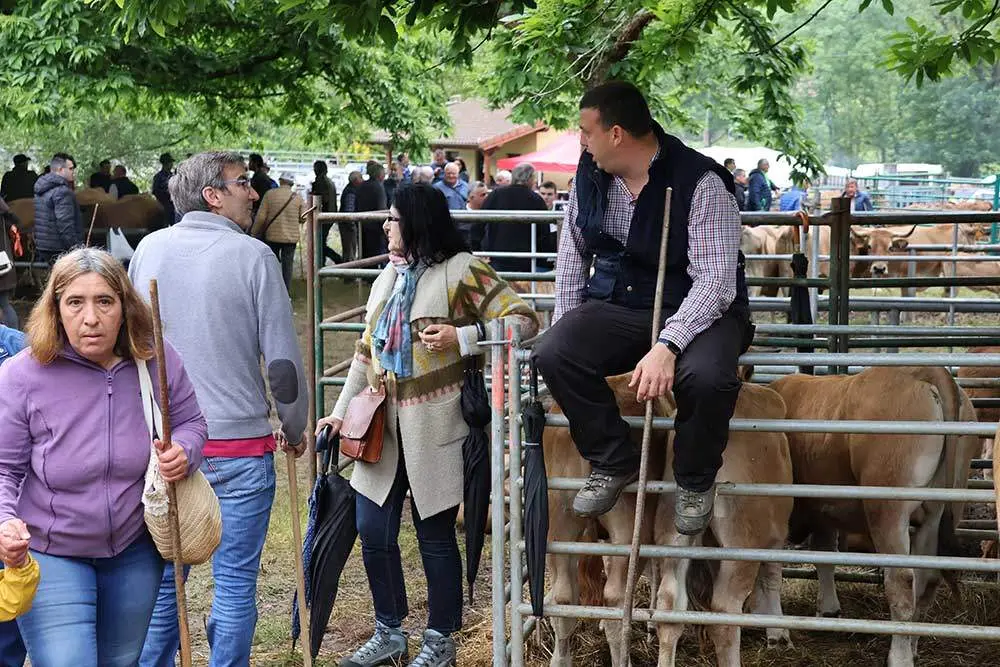 feriona-corao-2024-38