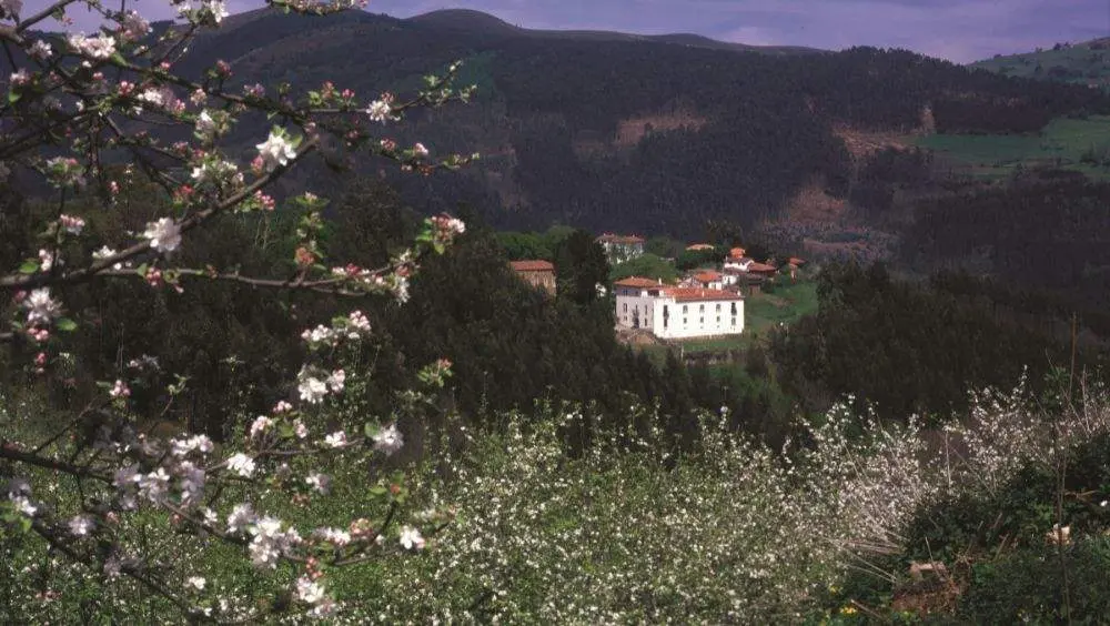 Malleza.
Camilo Alonso