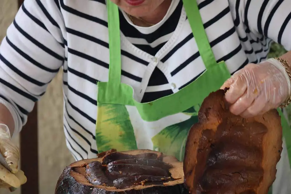 festival-borona-torazu-2024-10