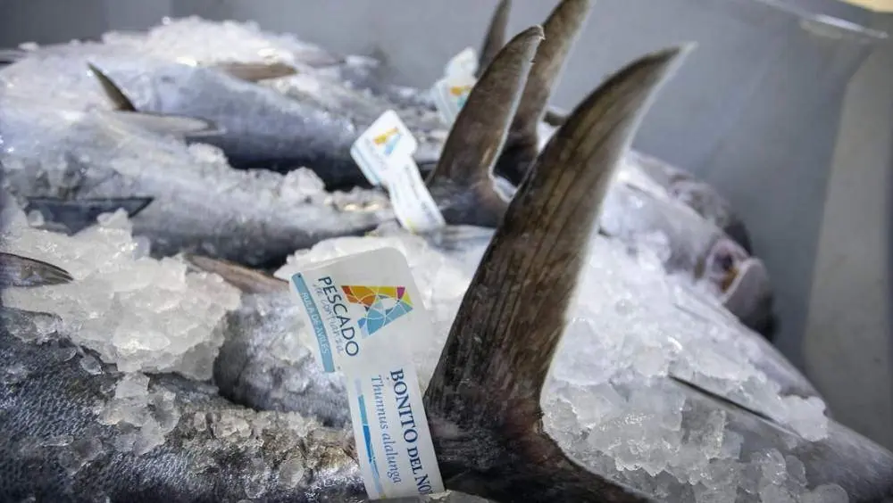 bonito-norte-propuestas-alimerka