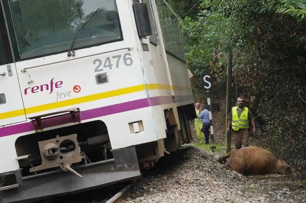 renfe-descarrila-llanes-2019