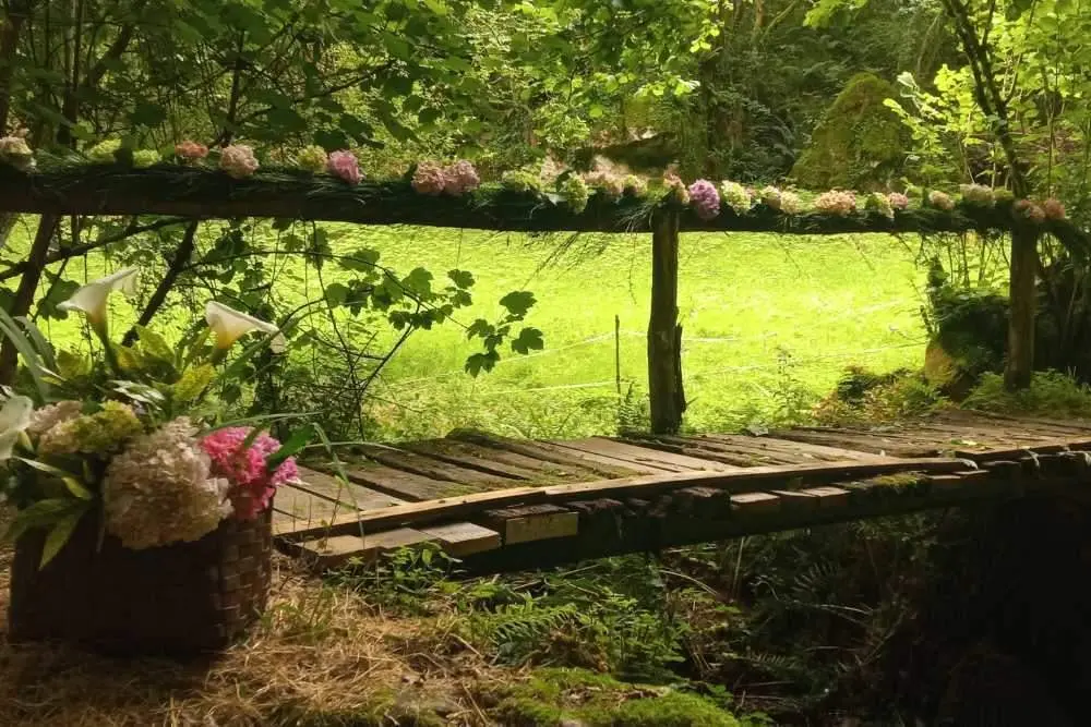 lavadero-curries-maza