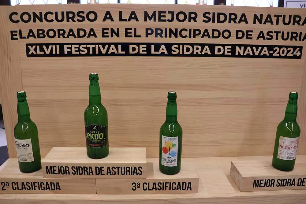 festival-sidra-nava-2024-27