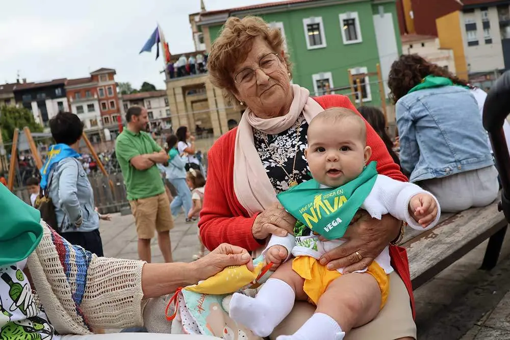 vega-festival-sidra-nava