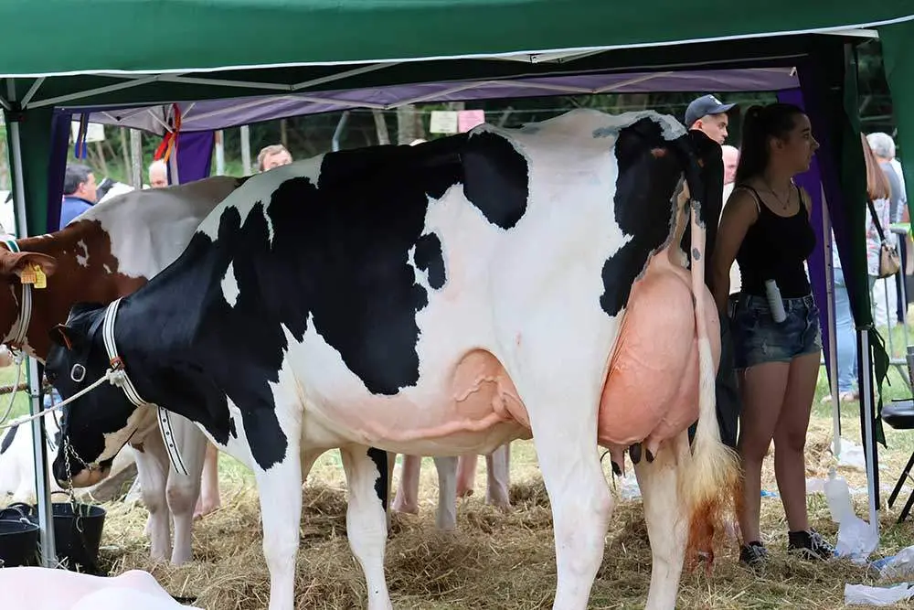 ASAJA se queja de la actuaci&oacute;n de la Consejería de Medio Rural