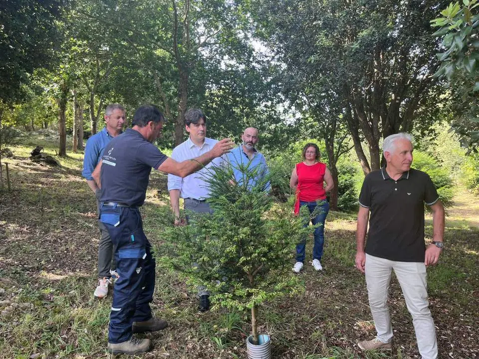 talleres-empleo-ribadesella-cangas-onis-4