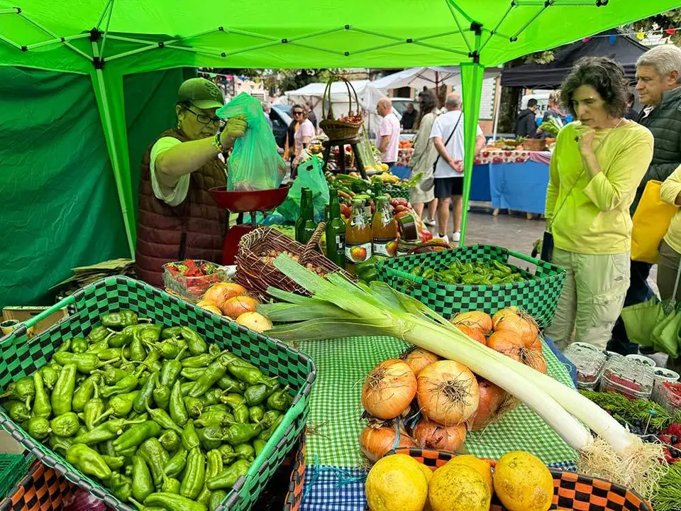 huerta-posada-llanes-2024-42