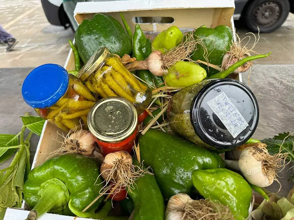 huerta-posada-llanes-2024-48