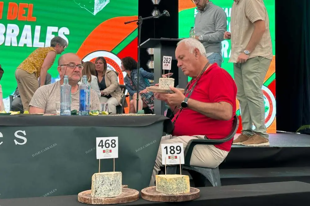 certamen-cabrales-4