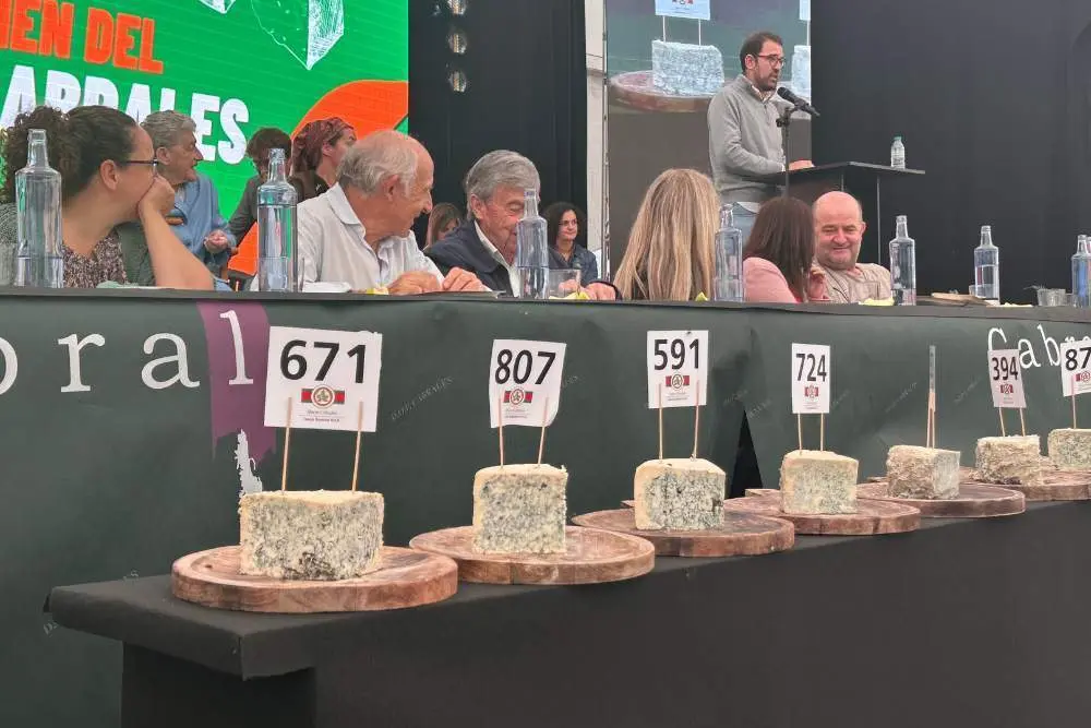 certamen-cabrales-16