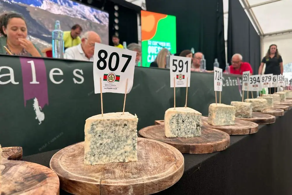 certamen-cabrales-25