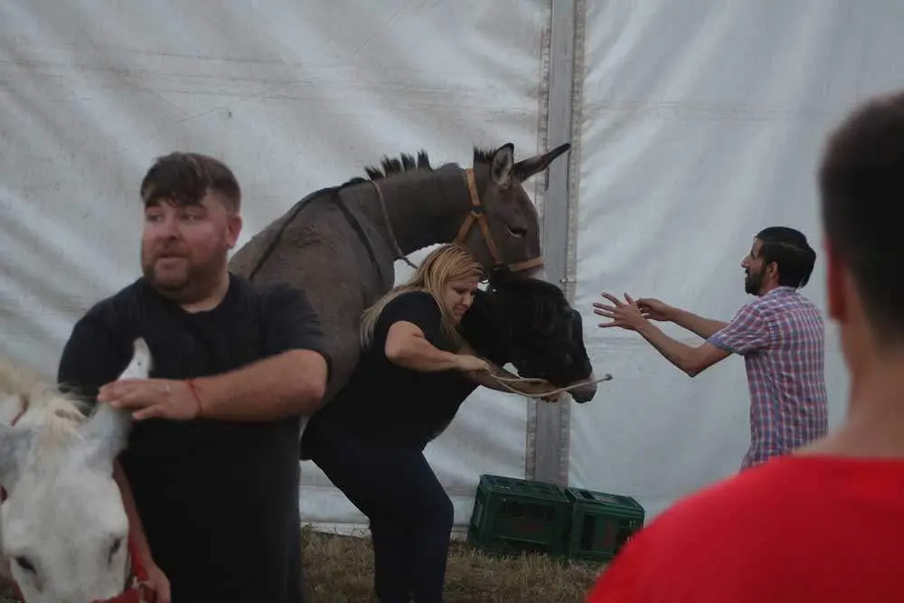 burros-munco-2024-01