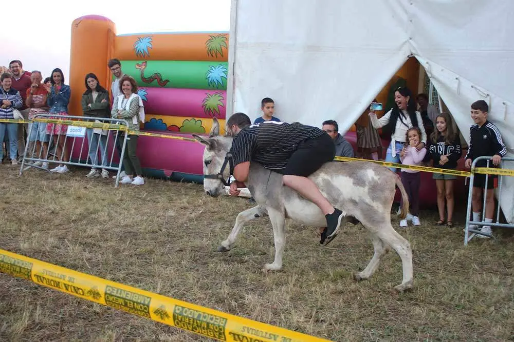 burros-munco-2024-09