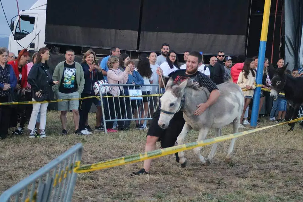 burros-munco-2024-015