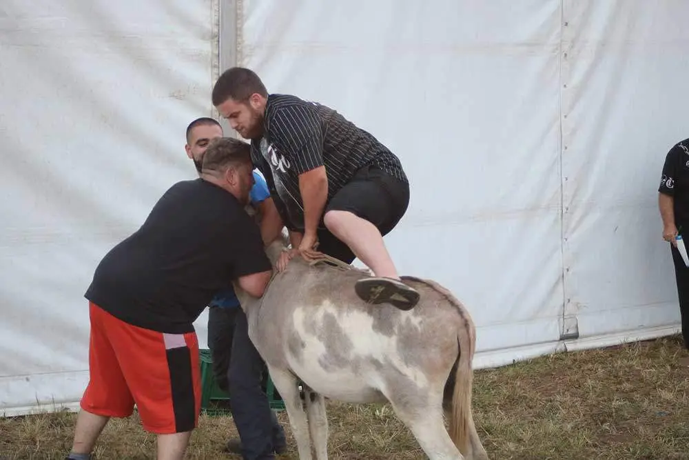 burros-munco-2024-020