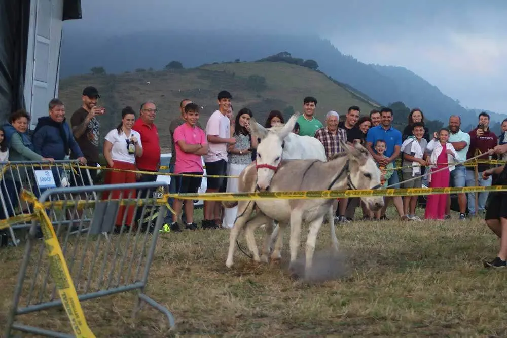 burros-munco-2024-032