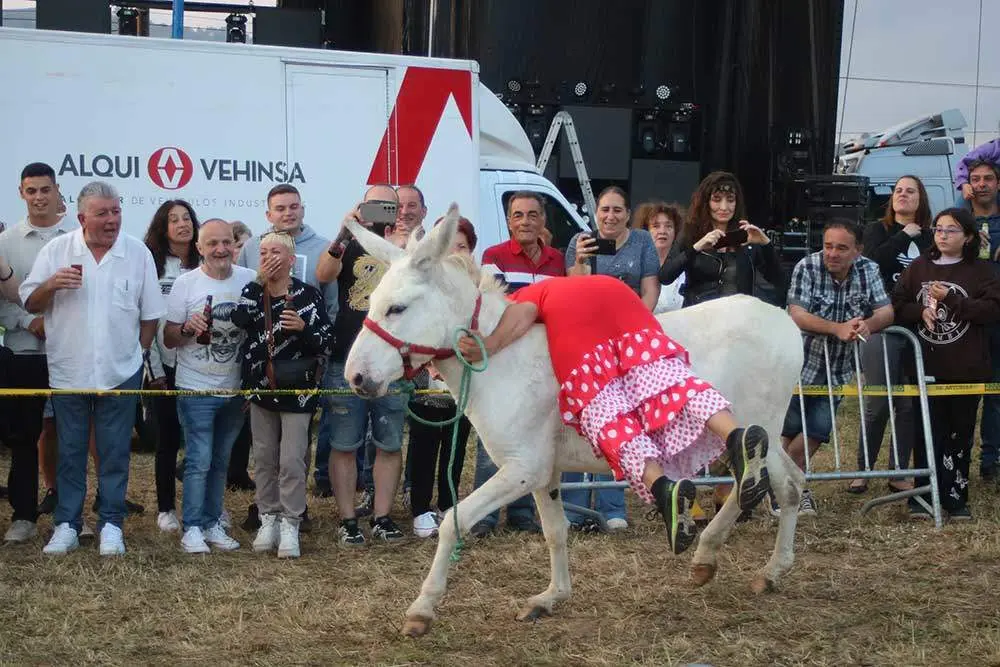 burros-munco-2024-041