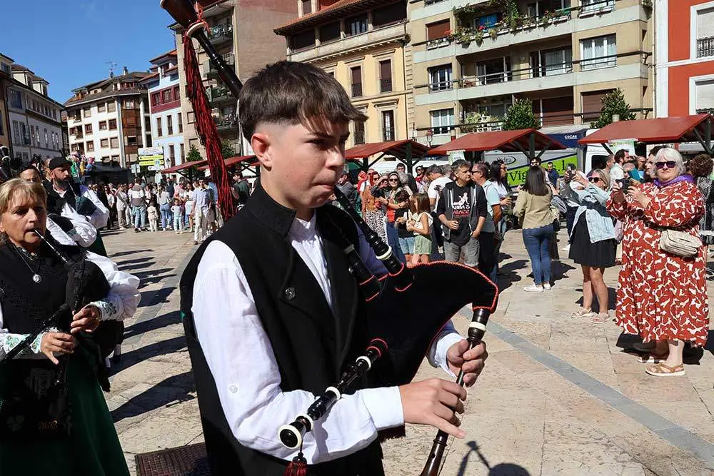 fiesta-sidra-villaviciosa-2024-34