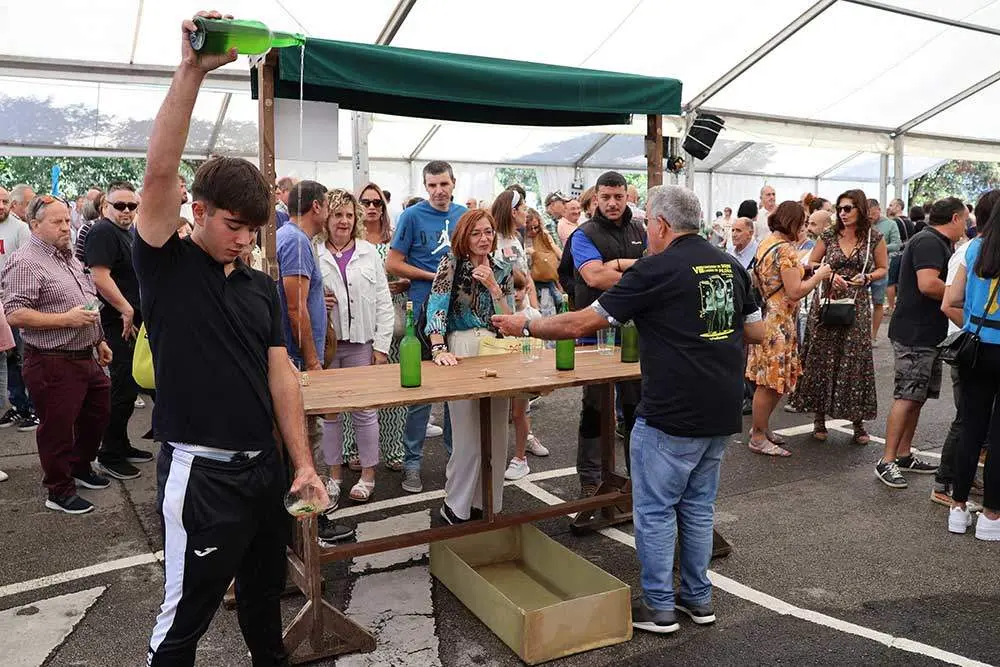 sidra-casera-pilona-2024-005