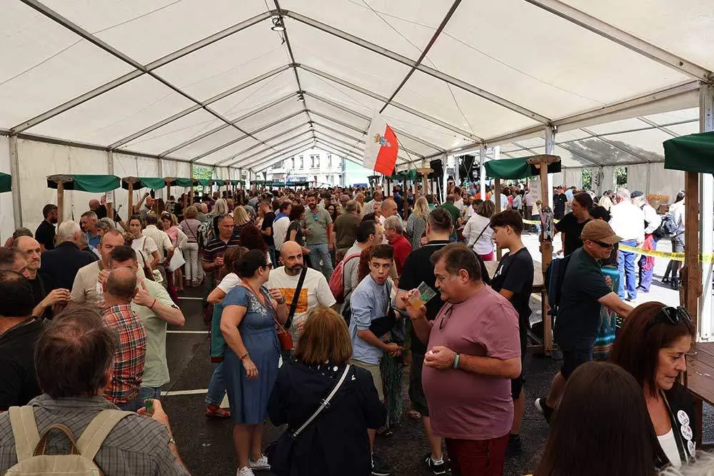 sidra-casera-pilona-2024-0014