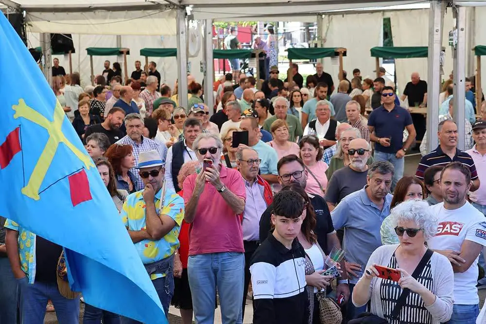 sidra-casera-pilona-2024-0025