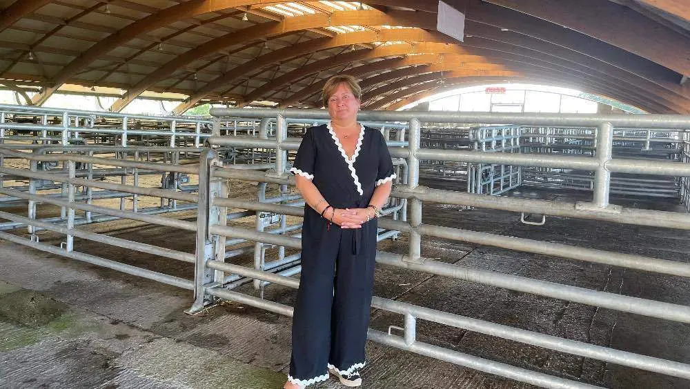 adjudicacion-jaulas-mercado-ganados-siero