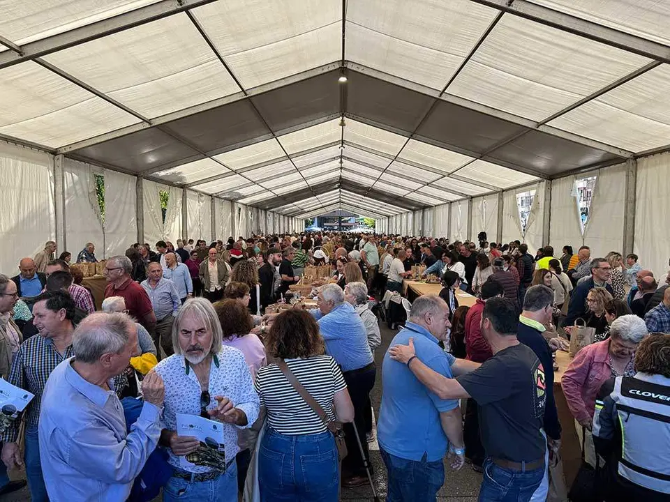 avellana-infiesto-2024-061