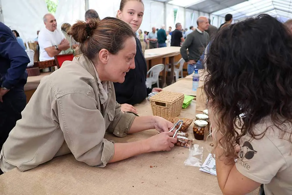 avellana-infiesto-2024-039