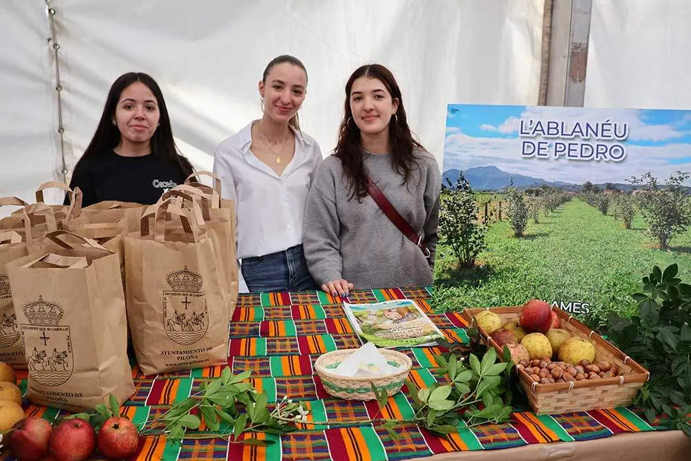 avellana-infiesto-2024-051