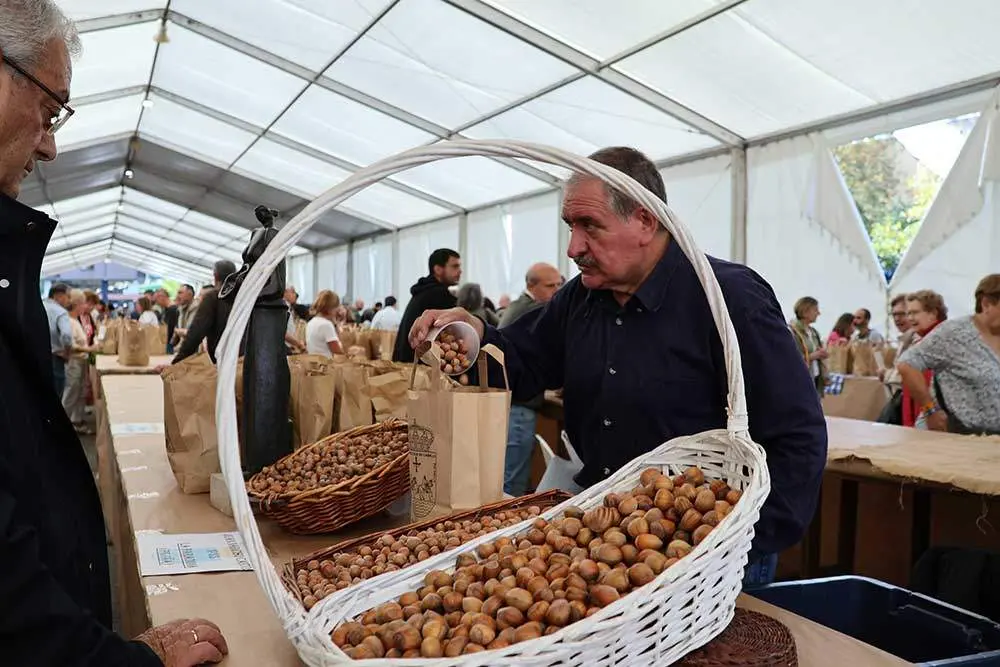 avellana-infiesto-2024-054