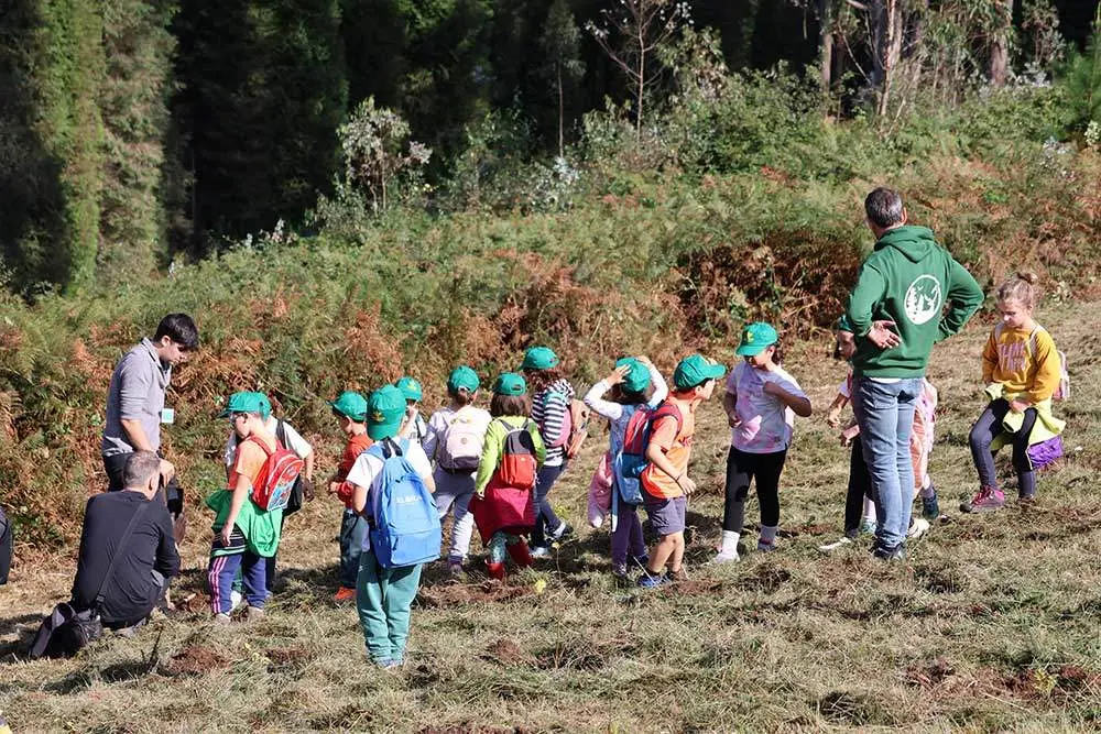 dia-arbol-monte-cayon-01