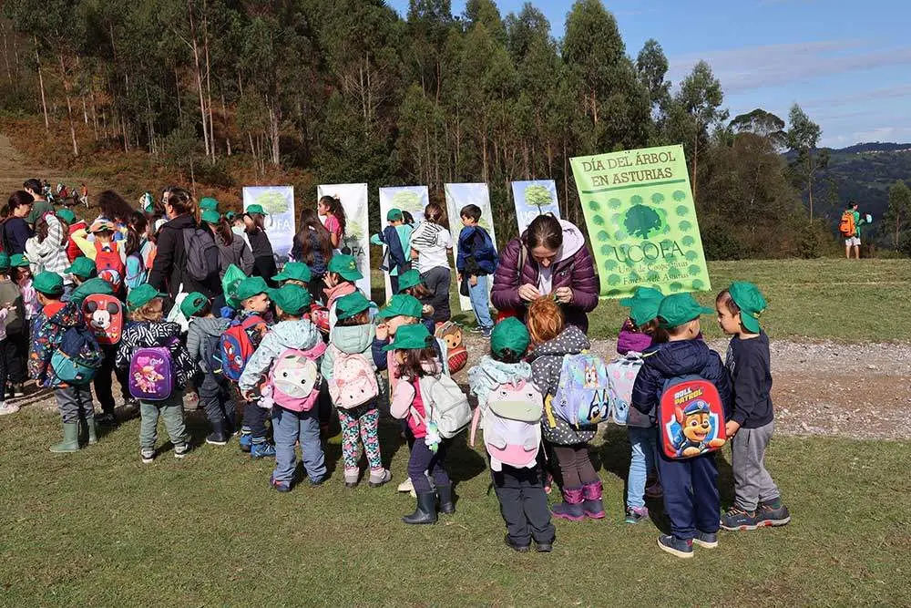 dia-arbol-monte-cayon-06