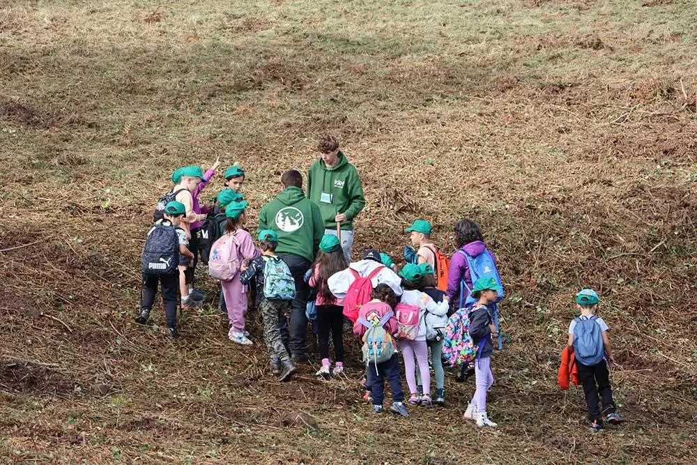 dia-arbol-monte-cayon-07