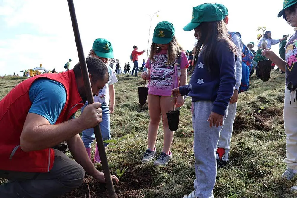 dia-arbol-monte-cayon-09