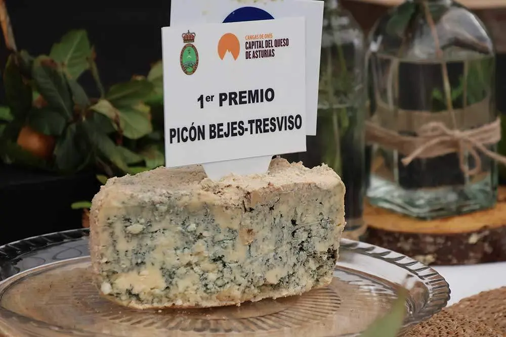 premios-quesu-cangas-onis-2024-021