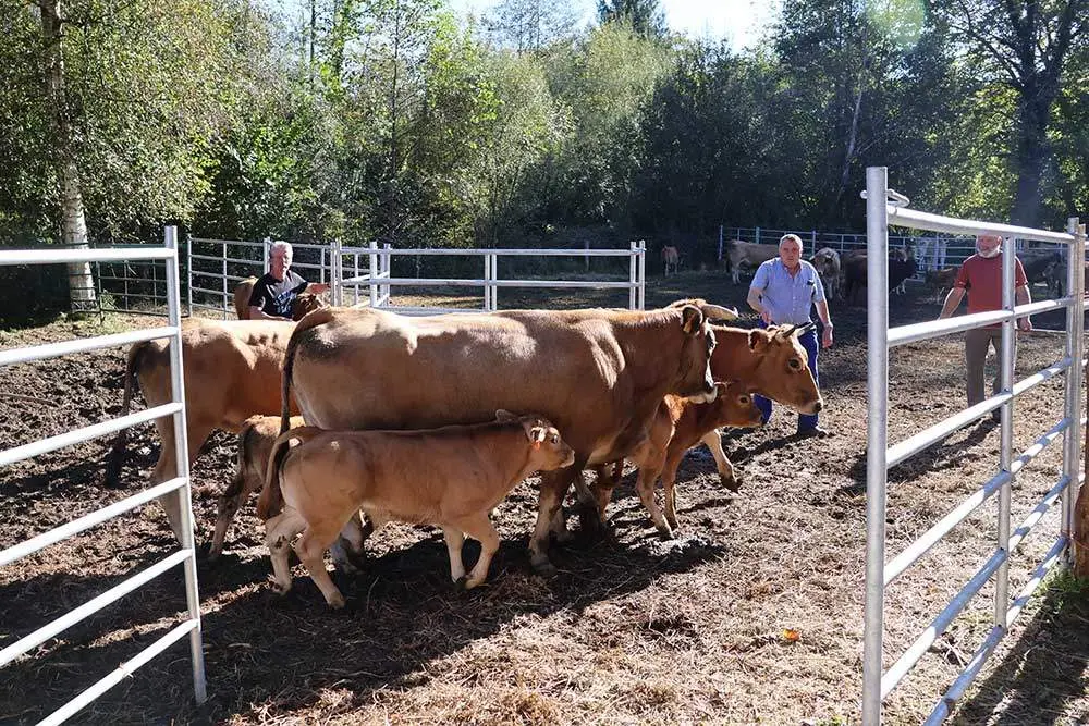 feria-santa-teresa-2024-07
