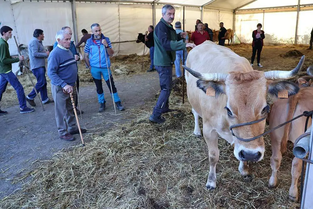 feria-santa-teresa-2024-011