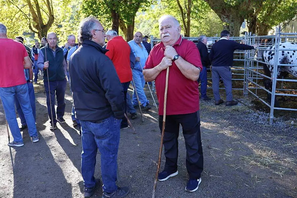 feria-santa-teresa-2024-012