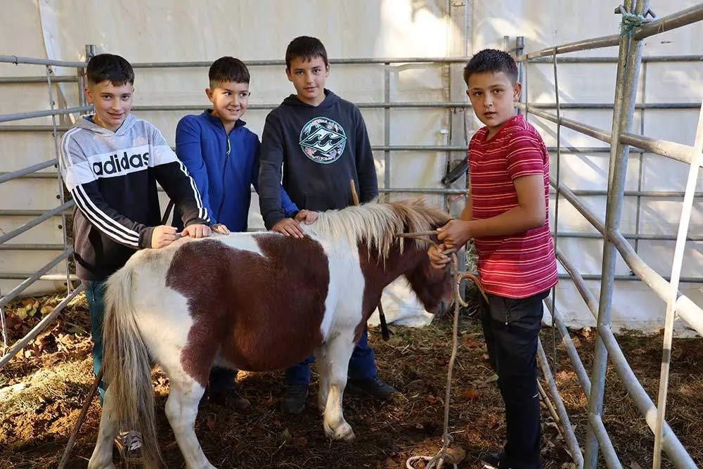 feria-santa-teresa-2024-013