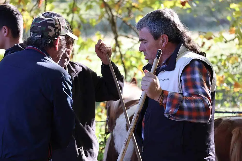 feria-santa-teresa-2024-014