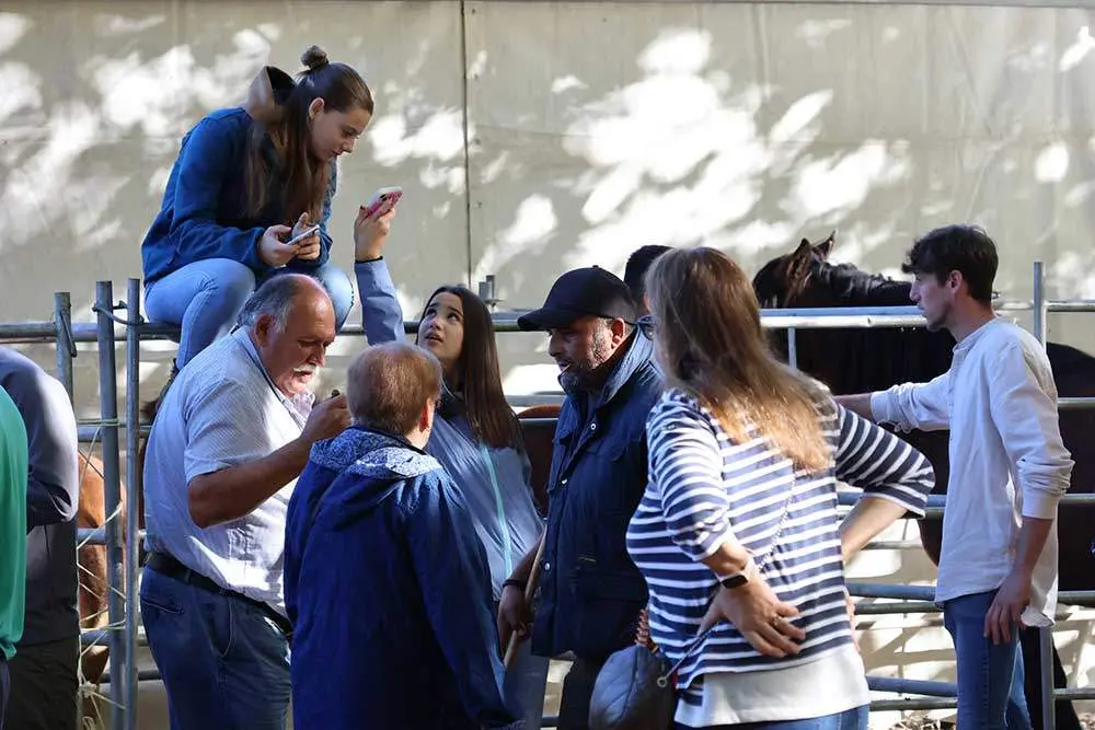 feria-santa-teresa-2024-015