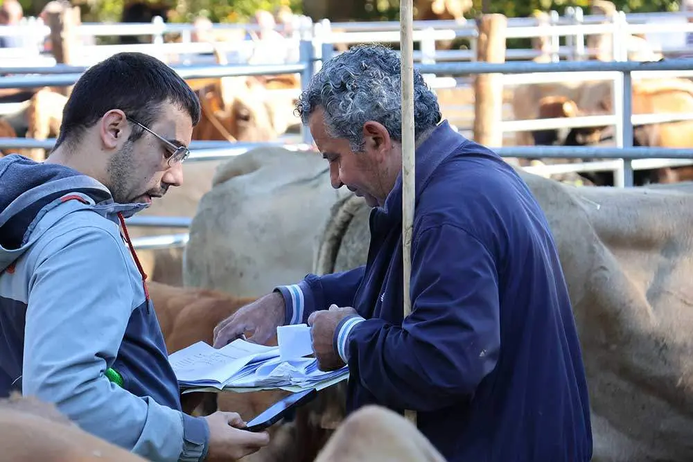 feria-santa-teresa-2024-018