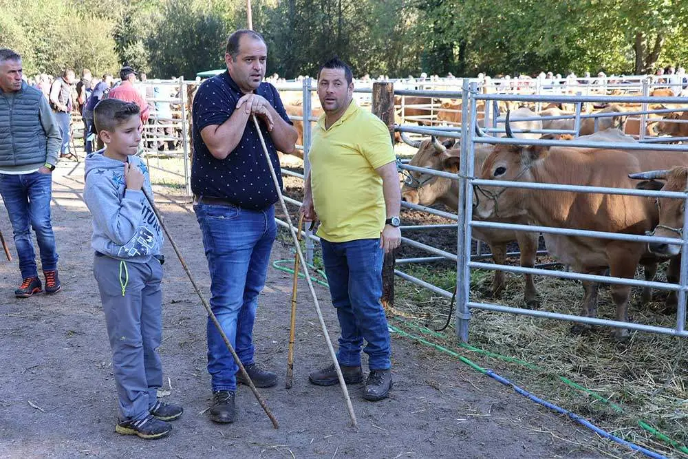 feria-santa-teresa-2024-019